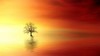 Sonne Hitze